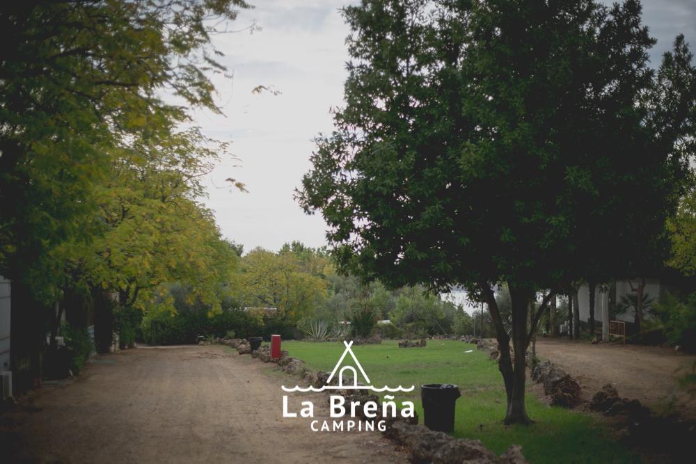 Hôtel Camping La Brena à Almodóvar del Río Extérieur photo